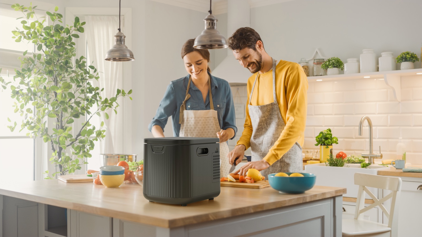 GoldHot Smart Composter — Standard — plate 8
