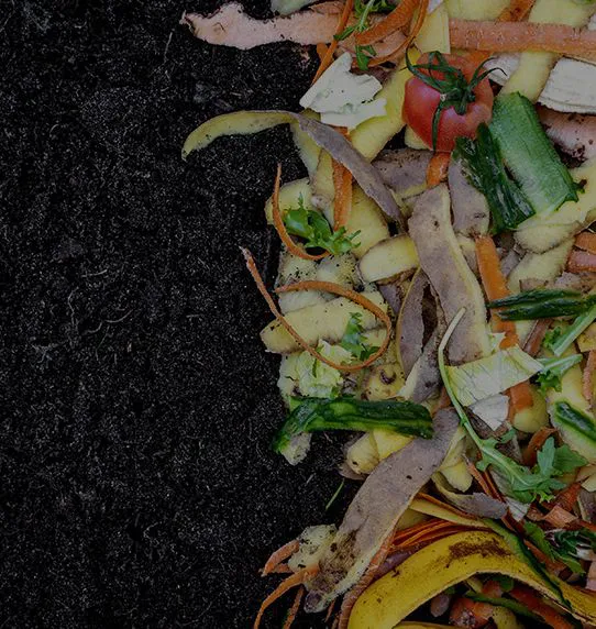 Home Compost Pile Enhancer